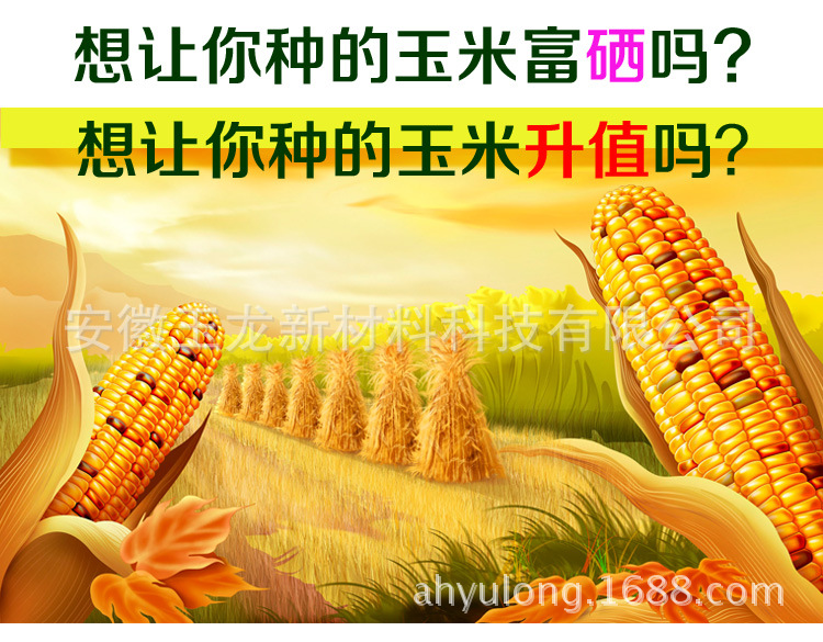 2024年免费资料大全