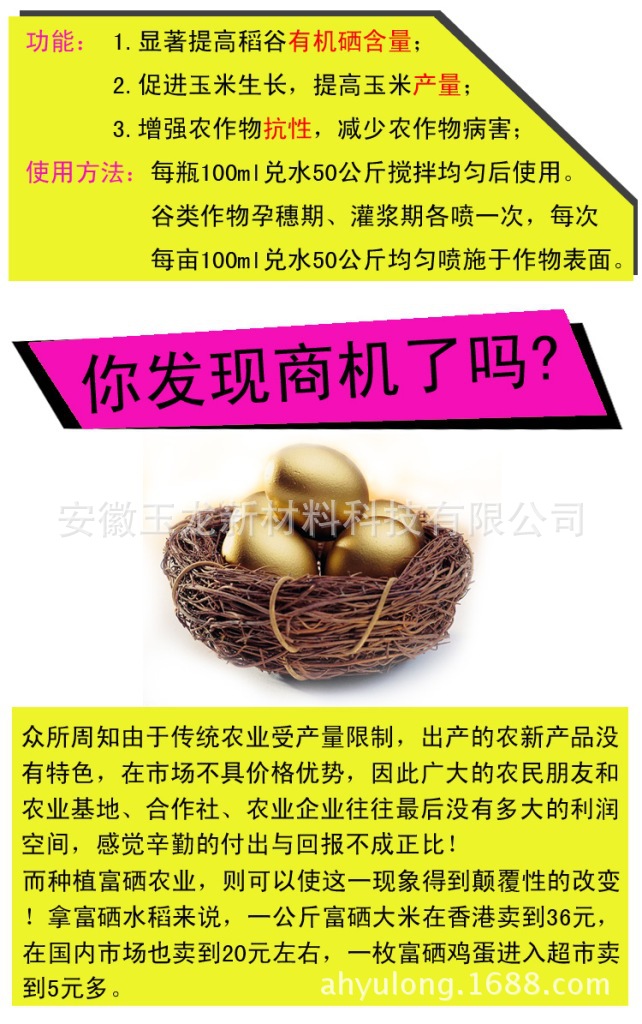 2024年免费资料大全