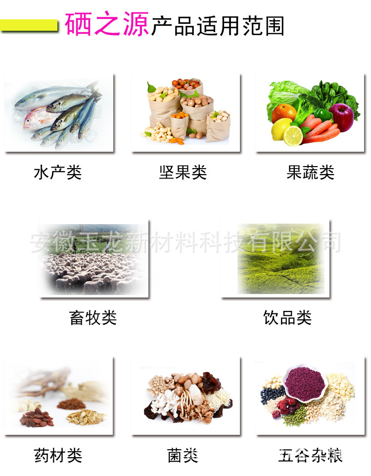2024年免费资料大全