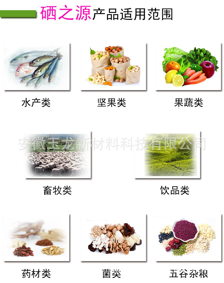 2024年免费资料大全