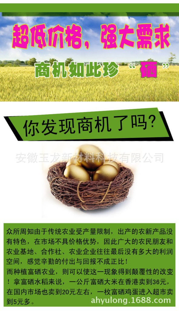 2024年免费资料大全