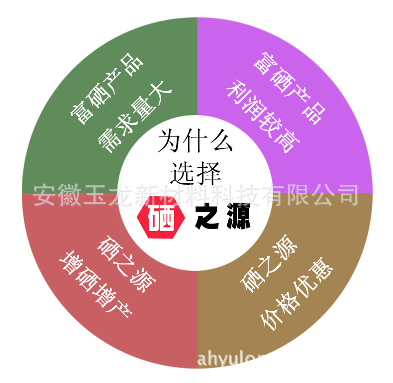 2024年免费资料大全