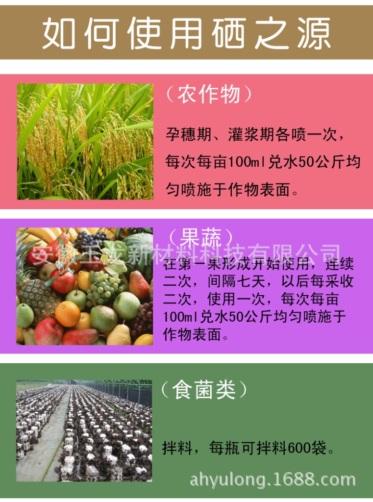 2024年免费资料大全
